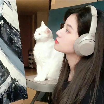 美丽破碎